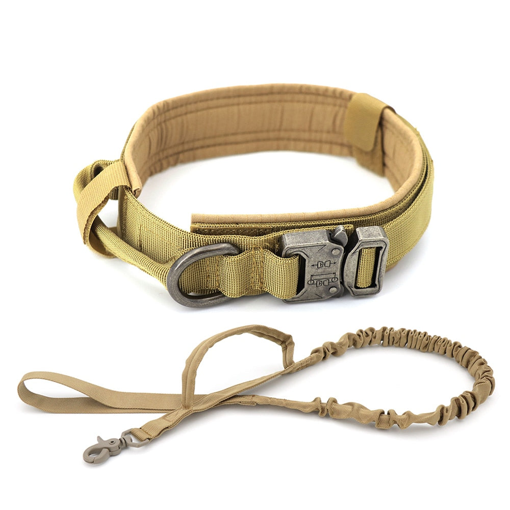 Dog Collar